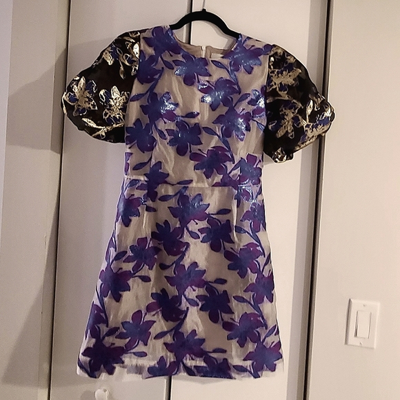 Munthe Brocade Metallic Dress - Picture 6 of 6